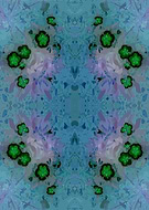 2019-03-19/d4fb9c63849e2d5b144df9a818aa9e06_70074620f407db12c5915d38e80e25ae