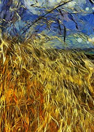 2019-03-20/91d7464faa615adbf255efa849b01c63_83b06d3bdb3da6e3f78b329e1ee6ba88