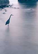 2019-03-20/92fb87640b04acdba45f71d71ff38fe7_69b98e49268e543a5748da5c9b1d3b57