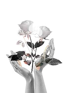 2019-03-21/49aa40527b7bd77d1076d2fd5ffaa397_4c3ff0d2adf03c60cc0dfd8b8e2da7d0