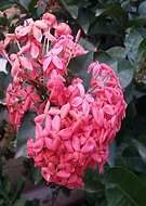 2019-03-21/acc613b5ba745ba065e432f534ec18fa_9f30bf174d0ee6827f100267fdb01205