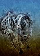 2019-03-22/0c76e97082858d0d61f21f1124dd89af_ca97bdcf7005e2cbfa2d52aecb19c424