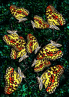 2019-03-22/712f58dae59e25525687951fcef777b2_7d84b2db13d488fcfcca7304ca2f2fc7