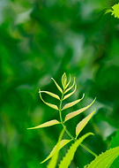 2019-03-22/98668731c58d387688236ebad469c54d_c872a2a168c631e6553b2dc2f616b326