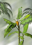 2019-03-22/f010f0c095d14dbabbe10077b55abe4a_d50ca4910a5724bf06a74fe224b66658