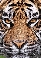 2019-03-23/111875403861c4acf71a28dab52eed2f_efd79addbce2f6cd355e60e7a95cbf5b