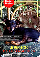 2019-03-23/618504b7bf466c1d84c212df9048414e_2c28b5148f36d045f3f0708254a56868