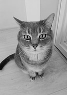 2019-03-24/33d47c8b4b2cbda88b1728bfdc4d5b15_ee53293c8c9a8174c57ad87e15f9b7ef