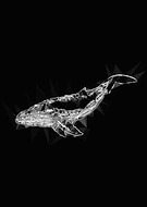 2019-03-25/1052cab9462fe9fae1c16d521fac99d1_5fc8e4a16c8853327cef67555a6ec24d