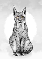 2019-03-25/333a67156cb4adc5093754878e80c69c_7fac693c9aea6e7e0ba1a5ad74575010