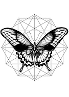 2019-03-25/8dc2724341e968d3505507f3d99adee0_16771fe533039d4c4aa2d95ed3bd3812