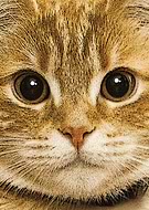 2019-03-25/9466e8dfa64e50811e3106b8d2094251_7cce521035348c318b41fa75fa75a220