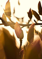 2019-03-25/a758e00eca7226b18c6fa70a4b0ee1b3_217392f81a5b43d0bac2c26c4d69ed4e