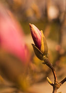 2019-03-25/d4cdeed571e13f2d1e7c569fb1320d7d_0647a530e1f0551e47545245417e91c0