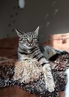 2019-03-26/7bdd3b394ce5c1cbb12d1dcbab4b3d5c_1a6d6576a547c6eb8e0316f1690f9724