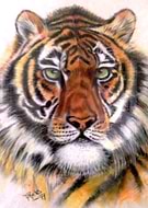 2019-03-26/c682755f0a0bf591ee443803cd039d8b_fc2e244ee7aec741159ceae44eb81473