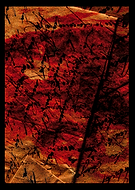 2019-03-27/d0eb2a2f8e3cc049ee83892ff72cab45_a3202c3930b5b2d78b52bc0cdcbfb5de