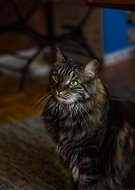 2019-03-28/74d1b627a9a0d39d0ed4f912f6463918_361dbf60757764ada81eff23e941a1b7