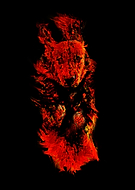 2019-03-28/74ff34dd726046bbd3b2c5915fa78df9_2f725072f78ac78656d978a02b0c5b18