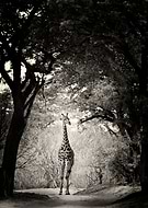 2019-03-28/f7707c61b99bcf71e5e2ed3b79cc4276_a3e15b8c1dc525ccefd0fc965e0cc489