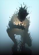 2019-03-30/d793e706207a575fc2f906ee39826328_96e7815bb18da35005a23e7a6a5d7dc3