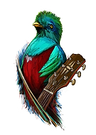 2019-03-31/de5835fe65081af7a426ceb9c9b21688_f08756f1e75c5685c20beefd55b71dbd