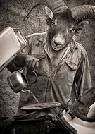 2019-04-01/7a906de06dcedc5a78b11130e8a34136_9ce83f9abc847778b8914119e21a23e3