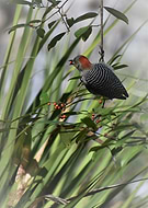 2019-04-02/77e253f54f82e4db42cd9200c5cf37d8_dc815f4b60cf67525622f2514bc2a274