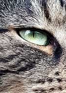 2019-04-02/90fe1896fc7acc18c3b49a7f63c2c651_dc7f1ca352e2b4c81f6931d2a6ae3716