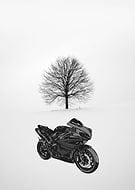 2019-04-03/6e3f39131aa6d9b5ad8d577ecc1ff9d4_80b54ca94c7f65f22a0d4d47cc358749