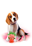 2019-04-03/6eadab8c90494575f4b66fea3086d286_6d846d679dc527aa7ec7fa3b682cb88b