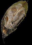 2019-04-03/a093b2be168e65398cbf391420461b59_677dea0497363209c154a0fd19a371c3