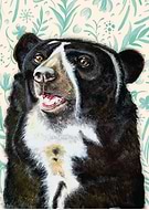 2019-04-03/bc380aae647cb1c7d5d02293ccac2be4_a19f5575a61d99c59a1e78872e166d1f