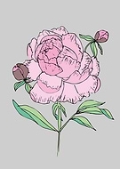 2019-04-04/a6f95e5fc36cb6fd5485cc7fc899ba9e_0eee821df3967f0c6997868844f36e1b