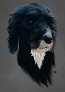 2019-04-05/63592c570ad83b2cb4d8478235b0dfff_73ccb3094c0cd6f618fdd30d661e32dc