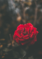 2019-04-05/a75f4a3d291a305e71ef4503e95e8b0a_a2d30c0e28317b47c1a9d38f349c646c