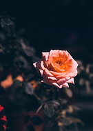 2019-04-05/ff57f3f34479f5579dd4933ec78a8a1a_7efa05813aeb4c6053348fb64e1fb6c8