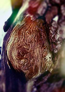 2019-04-06/12853473fd17344aba937438e827ca83_58cc335fb3a635a120ca9fe9341d80be