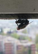 2019-04-08/0b5aa7597a402f4345dfdae885f1953b_c6d3061314add6239ec12ef7c483204b