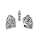 2019-04-08/f56688a53879d3a1f9e6e5704cdc95fa_62adbfd667a15949ac9d05b7b37f36d6