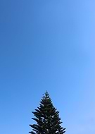 2019-04-08/f909f7d737cdba784d79a41cf96eea41_17af0c7ddb372592c007faf532a6daf4