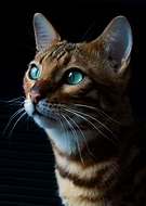 2019-04-10/056fe13240f336e26cbb974fb5b37b16_9a88955b74e8470d010f138d030f2f8a