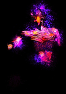 2019-04-11/0d9b6947186a74d14a4b537186c618ff_66f05a42d4837a1e4b06b2f7e212c96b