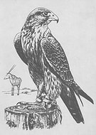 2019-04-11/42ae50d7b88db725b6ddcf4dbe952431_962ee84304beb5e8271878c62c1acc6e