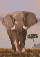 2019-04-11/b52511747cab5cf4b79c3b1b6a58069f_4d2e979c7ea368b88c5db4d754146c2f