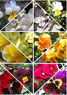 2019-04-11/be381116f9f7f4fb0c5bd26c0f593eea_77b76f77a53f788d110ff71975bc76a3