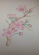 2019-04-12/651a5e7207aef2a4bd2c7d4550eaa1b9_1a530a1d360d61f8a58a0acb9bd7494a