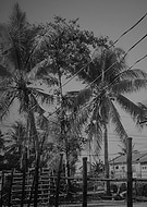 2019-04-13/a106fc7d1c7755100c21bbcdc0150fe0_eee6cc1e3c2595998ea131a56e94e45c