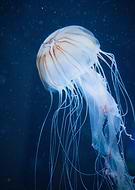 2019-04-14/bb90ed72258fd9a24baa4fa902045e93_854b1c4ce3f09b40fabc173c72dd1a06