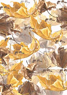 2019-04-14/cda11a1db9c5f8a43e47d3c894229b9c_27222164c3ab2e6d693555f4c0b0e5c6